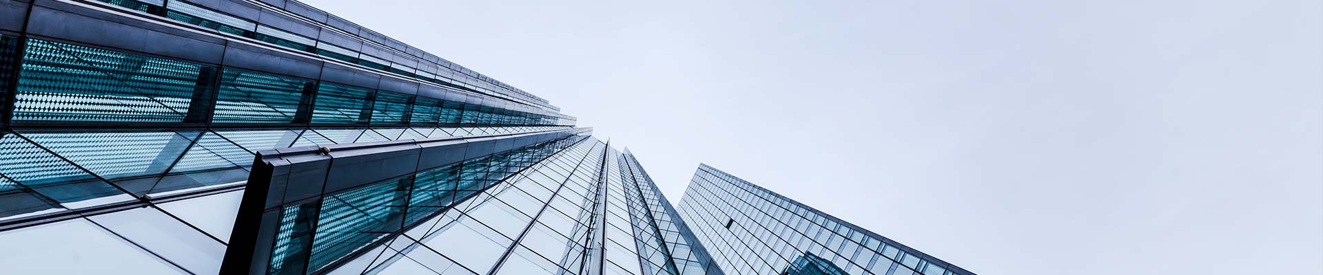 about-banner